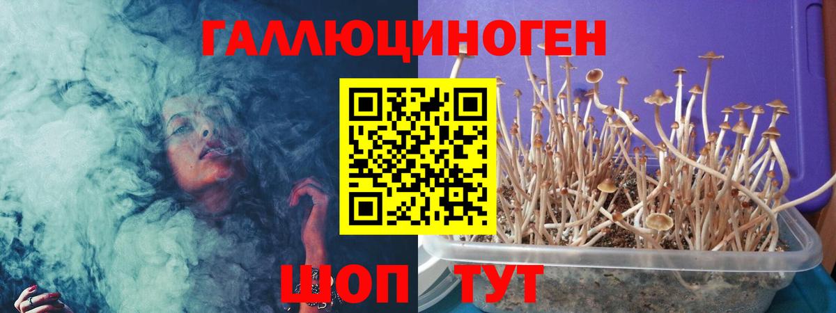 Междуреченск  Псилоцибиновые грибы Psilocybine cubensis  Псилоцибиновые грибы Psilocybe  наркотики  Вход с VPN 