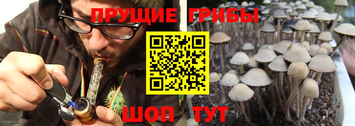 Галлюциногенные грибы мухоморы Междуреченск